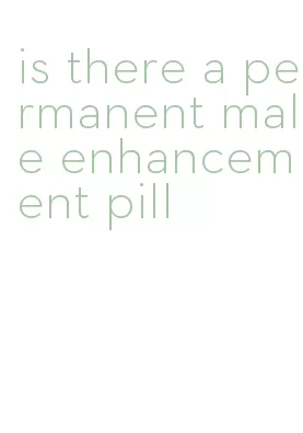 is there a permanent male enhancement pill