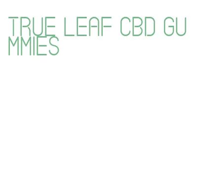 true leaf cbd gummies