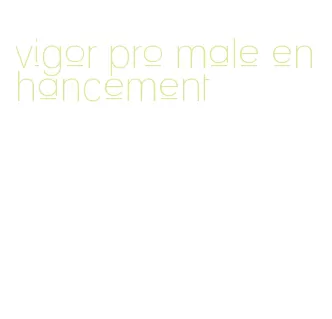 vigor pro male enhancement