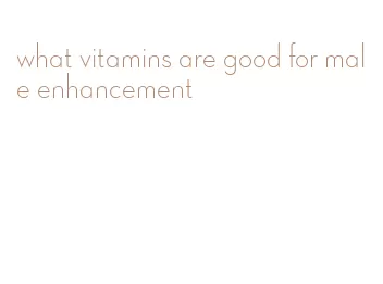 what vitamins are good for male enhancement