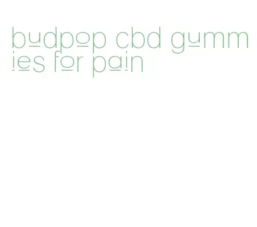budpop cbd gummies for pain