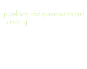 purekana cbd gummies to quit smoking
