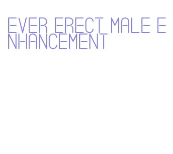 ever erect male enhancement