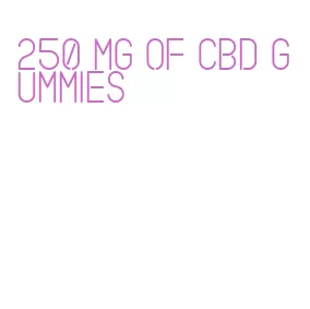 250 mg of cbd gummies