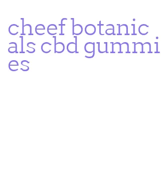 cheef botanicals cbd gummies