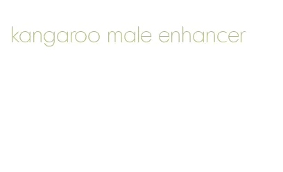 kangaroo male enhancer